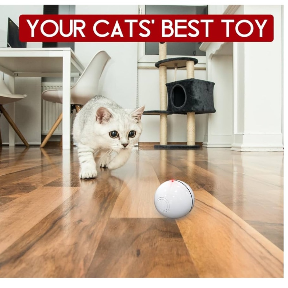 Smart interactive cat toy